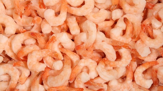 Autoridades prohibieron la captura y comercialización de camarón en el Pacífico colombiano