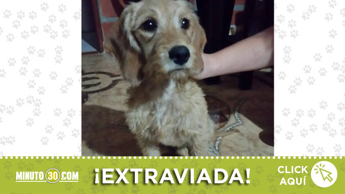 encontrada-autopista