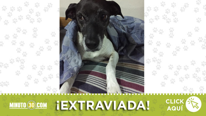 encontrada-llanogrande