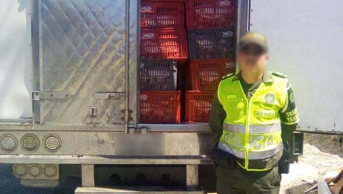 Siete toneladas de pescado incautó la Policía en vía de Santander