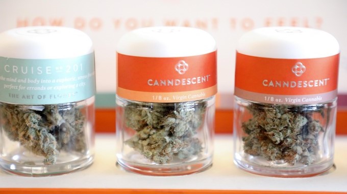 La legalización ha dejado anécdotas en California como la compra el pasado año del pequeño pueblo de Nipton por parte de American Green, una compañía que pretende convertir esta localidad, fundada en la "fiebre del oro", en un lugar turístico dedicado al consumo de marihuana. EFE/Archivo