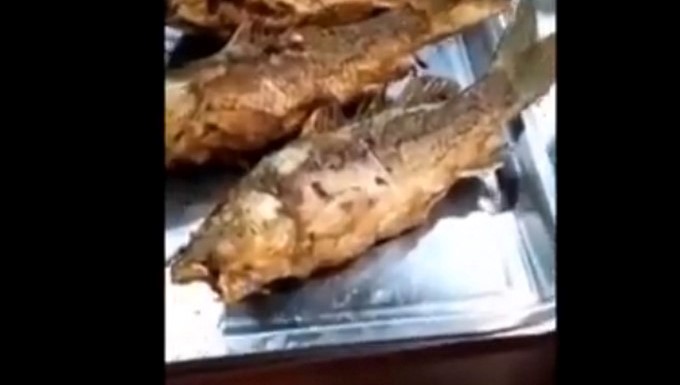 Captura tomada de Youtube: Dominio Público