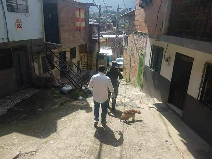 rescate-perrito-encerrado-villatina-4