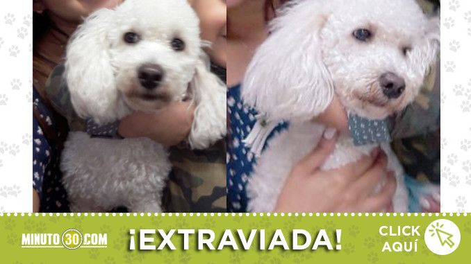 simon-itagui-santa-maria