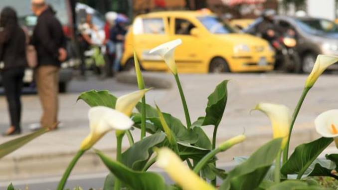 Diez millones de pesos, la recompensa para quien ayude a esclarecer crimen de tres taxistas en Bogotá