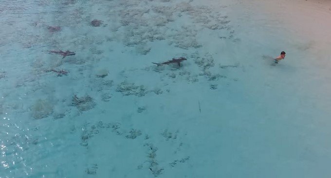 Captura tomada de Youtube: Artem Tkachenko