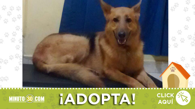 tierna-juiciosa-adoipcion