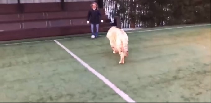 Captura tomada de Youtube: RT en Español