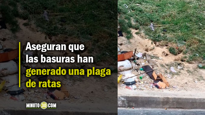 Habitantes de Robledo denuncian mal manejo de las basuras
