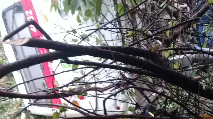 Accidente_bus_Solobus_Itagui_4