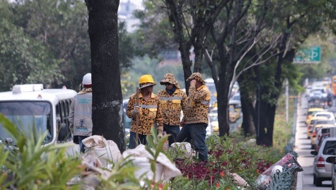 Inició la siembra de árboles en el Corredor Verde de la avenida Oriental