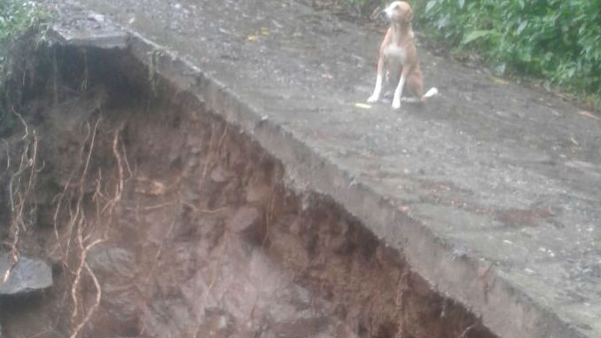 Invierno_Narino_Antioquia_3