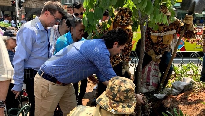 Inició la siembra de árboles en el Corredor Verde de la avenida Oriental