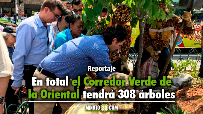 Inició la siembra de árboles en el Corredor Verde de la avenida Oriental