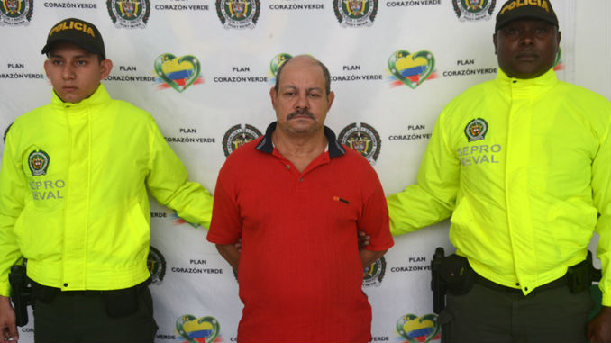 Violador_Bello_Oriente_2