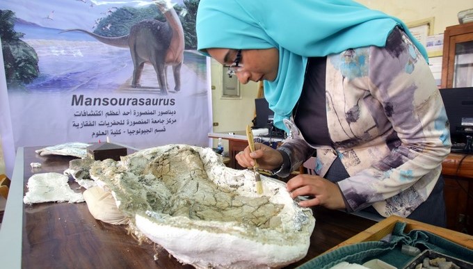 Una investigadora trbaja con los restos de la mandíbula del nuevo ejemplar de dinosaurio "Mansourasaurus" , descubierto por científicos de la Universidad de Mansura en Egipto. EFE