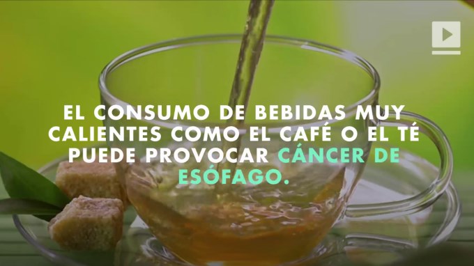 bebidas calientes Copiar