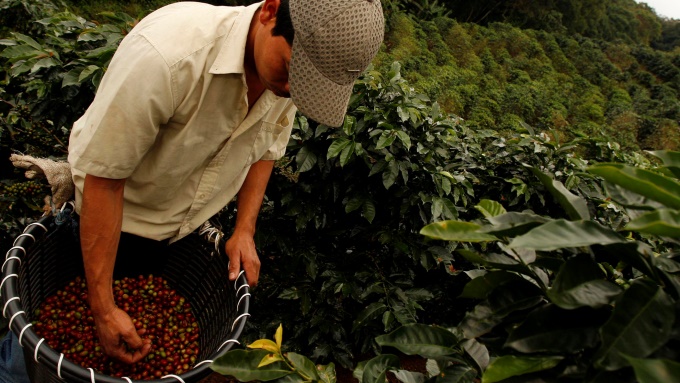 Iván Duque aseguró $100.000 millones de más para ayudar al sector cafetero del país