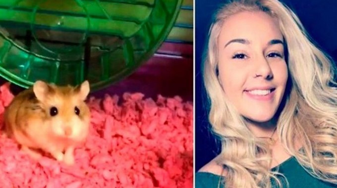 Propiedad de Infobae