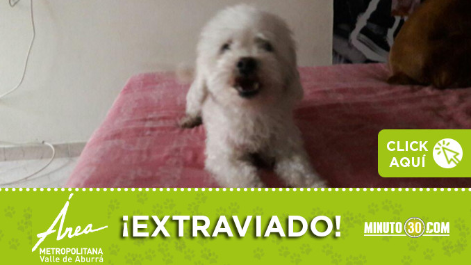 lucas-perdid-san-javier-int