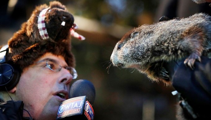 Un periodista intenta entrevistar a la marmota Phil en Punxsutawney, Pensilvania, Estados Unidos hoy, 2 de febrero de 2018. EFE