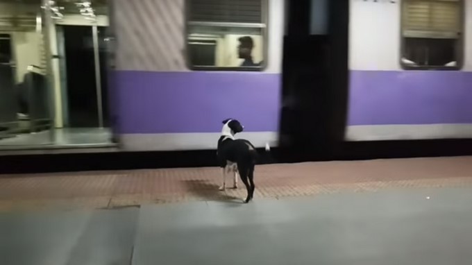 Captura tomada de Youtube: Sameer Thorat