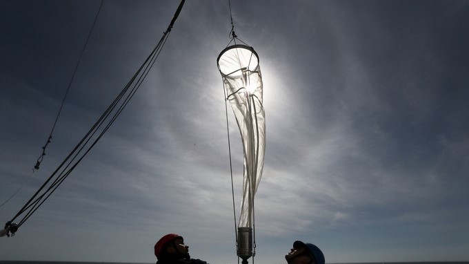 Más de la mitad del agua oceánica mundial está expuesta a la pesca industrial