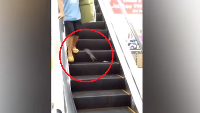 Captrua tomada de Youtube:- AP