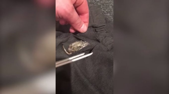 Captura tomada de Youtube: SWNS TV