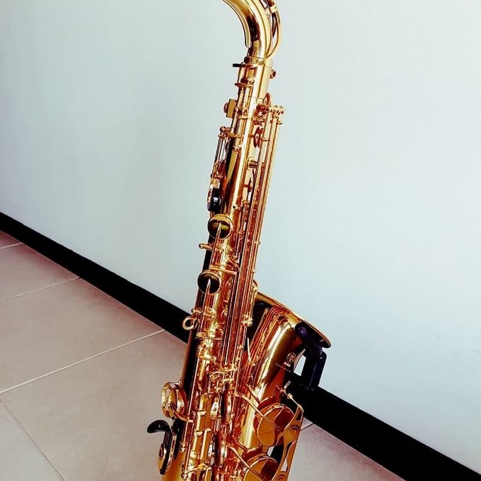 Saxofón robado