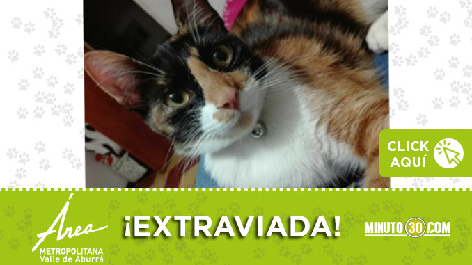 tequila-perdida-int