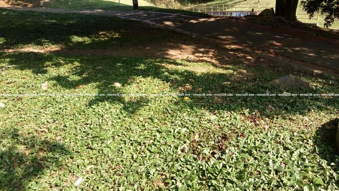 Homicidio_Lopez_de_Mesa_4