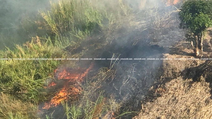 Incendio_zona_verde_2