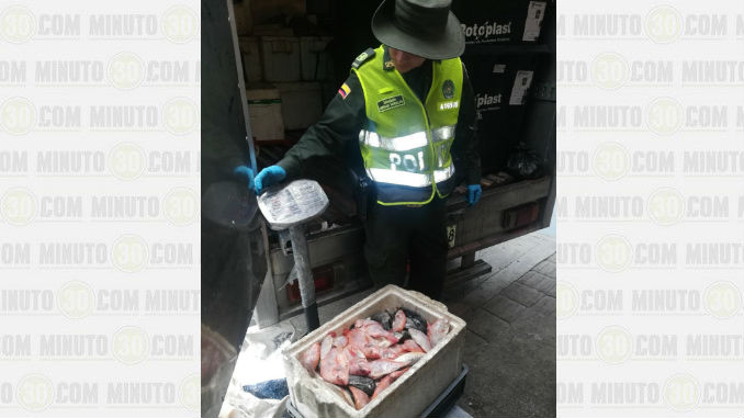 AUDIO y FOTOS: Más de una tonelada de pescado fue incautada en el Centro de Medellín 3 Pescado_Incautado_4