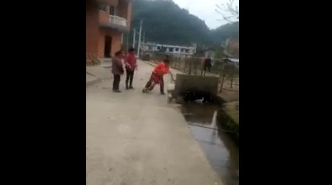 Captura tomada de Live Leak