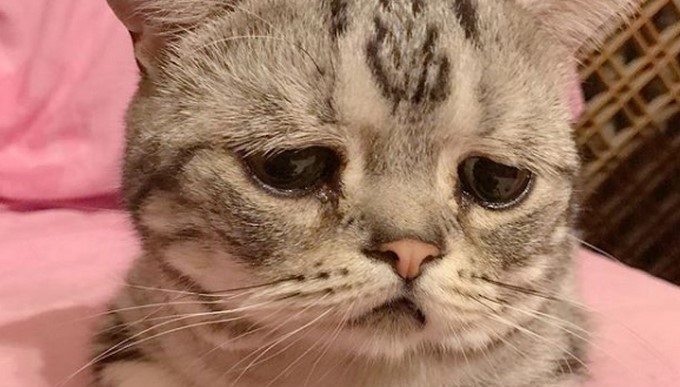 Luhu/ Tomada de Instagram: @lanlan731