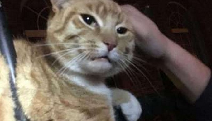 Propiedad de The Sun