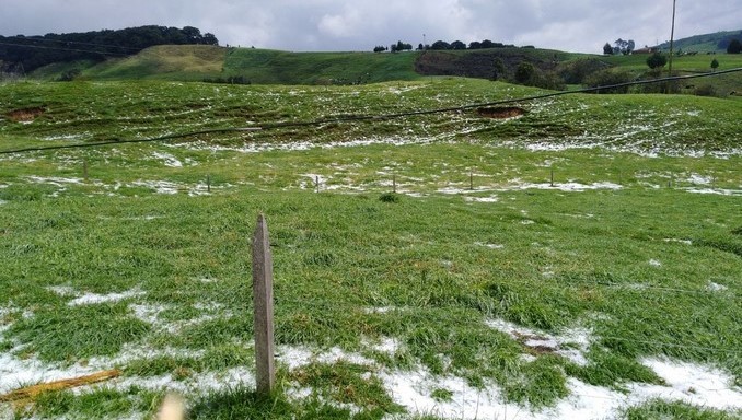 VIDEO: Recuperación de pasto dañado por granizada en Santa Rosa de Osos tardaría tres meses