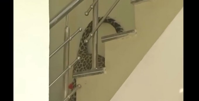 Captura tomada de Youtube:_ RT en Español