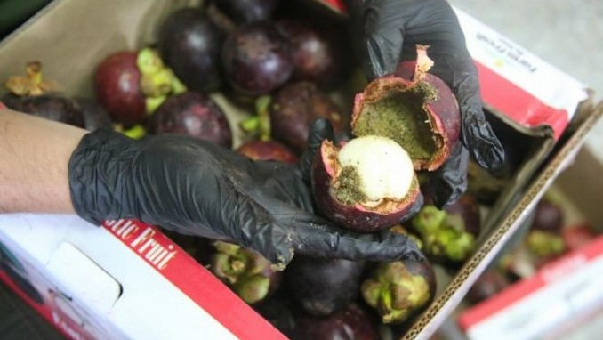 Camuflados en mangostinos pretendían enviar 33 kilos de cocaína a Hong Kong