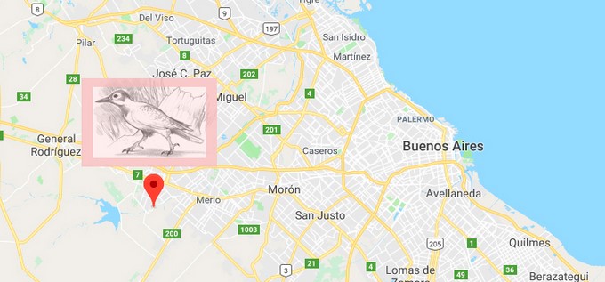 Autor de la ilustración es Gabriel Lio y mapa de Google.