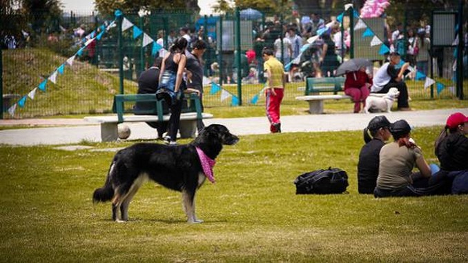 Así fue la apertura del primer parque para perros en Bogotá