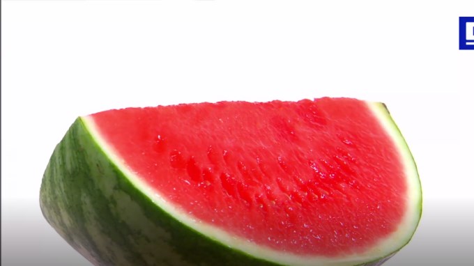 sandia Copiar