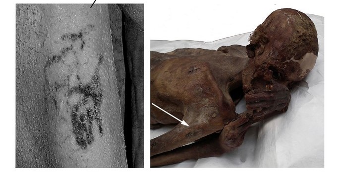 Fotografía facilitada por el British Museum, de uno de los primeros tatuajes figurativos encontrados en un cuerpo momificado de Gebelein, lo que demuestra que esta práctica era habitual en el periodo predinástico de Egipto, hace más de 5.000 años. EFE