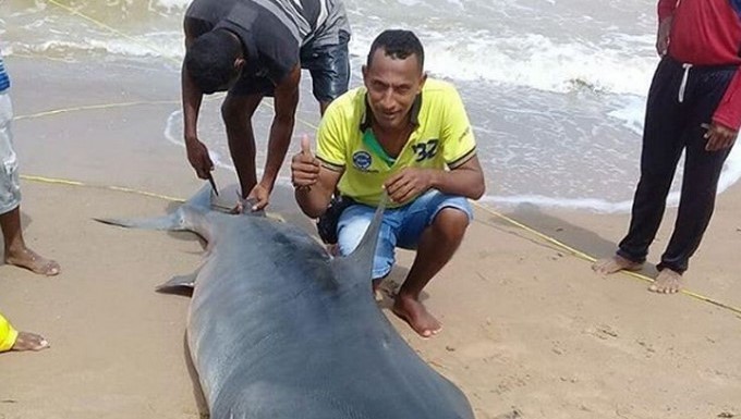 Captura tomada de Instagram: @diariolaguajira