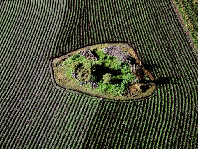 La naturaleza está en "números rojos" para asegurar el bienestar humano 3 Campo de siembra