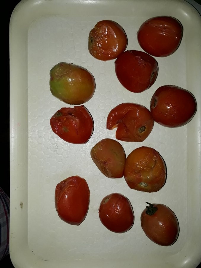 Más de 300 niños en el Huila estarían consumiendo alimentos en descomposición