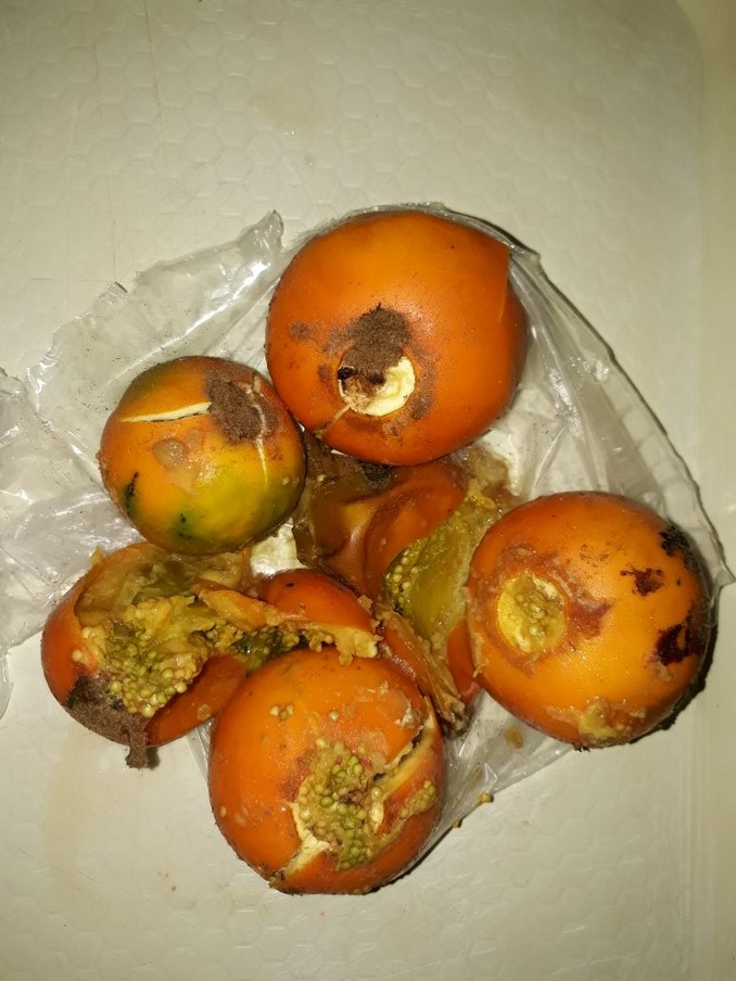 Más de 300 niños en el Huila estarían consumiendo alimentos en descomposición