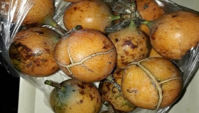 Más de 300 niños en el Huila estarían consumiendo alimentos en descomposición