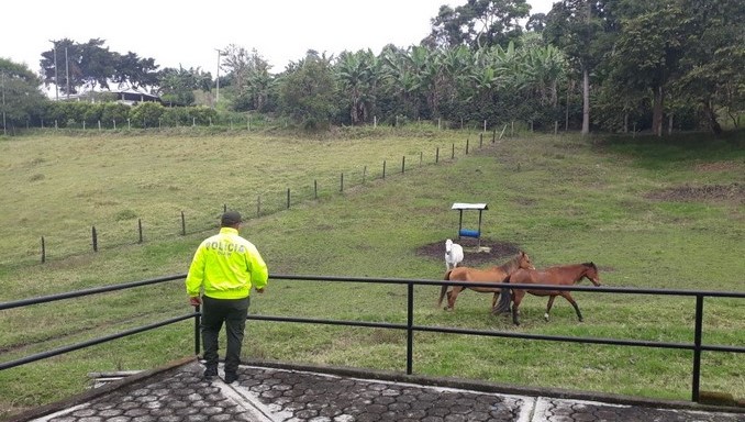 Incautadas lujosas propiedades que pertenecerían a alias 'Porrón', cabecilla de 'Los Rastrojos'